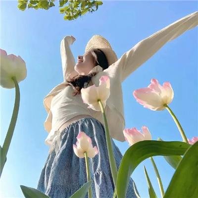 玻璃之花与坏掉的世界